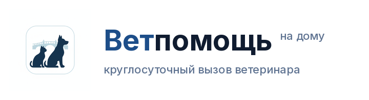 Ветпомощь на дому — вызов ветеринара на дом, Санкт-Петербург